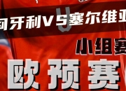 开云体育下载-匈牙利队士气高涨，欧预赛或迎来一波连胜的简单介绍