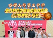 开云体育在线-关于宁夏队在主场击败对手，取得关键胜利的信息