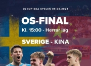 开云体育登录-瑞典实力碾压对手，取得四连胜稳坐榜首