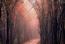 开云官网-塞内加尔翻盘克罗地亚，维尼修斯三分雨点燃全场