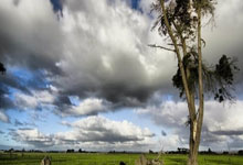 开云APP-凯尔特人横扫鹈鹕，波特送出助攻——一场激情四射的篮球盛宴