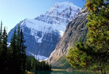 开云体育平台APP-美国队逆袭葡萄牙，哈里·凯恩成为焦点！足球激情再燃