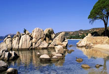 开云平台-国王强势篮网B队，哈里斯绝境逆转，震惊联盟的精彩瞬间！