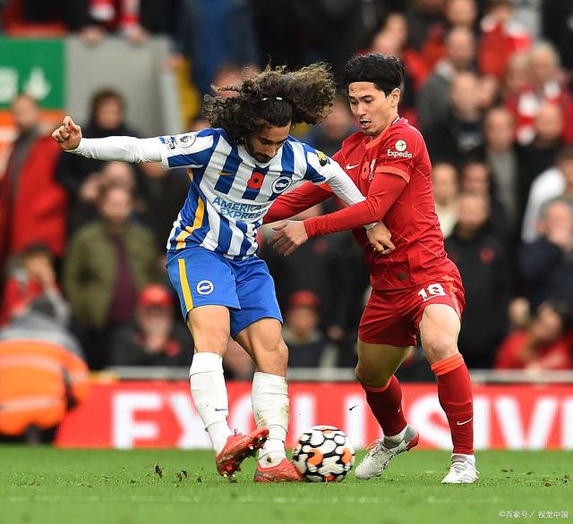 南安普顿主场大胜布莱顿,保级前途一片美好的简单介绍 南安普顿主场大胜布莱顿,保级前途一片美好的简单介绍