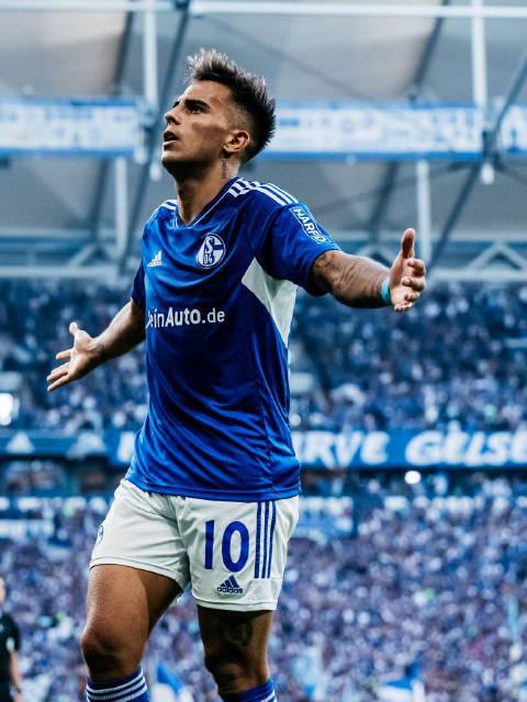 沙尔克连续主场失利，球迷不满