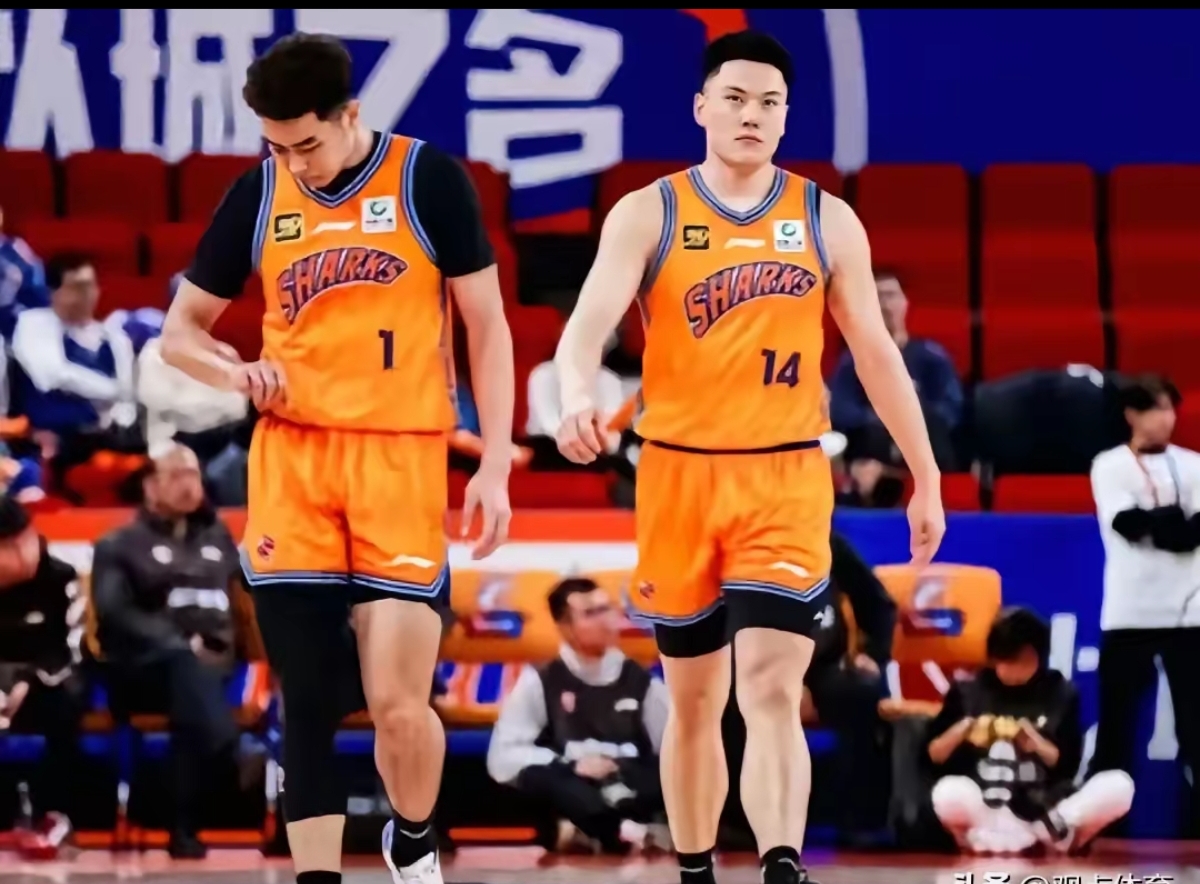 狼队主帅埃斯席多夫建功高唱，球队士气高昂的简单介绍